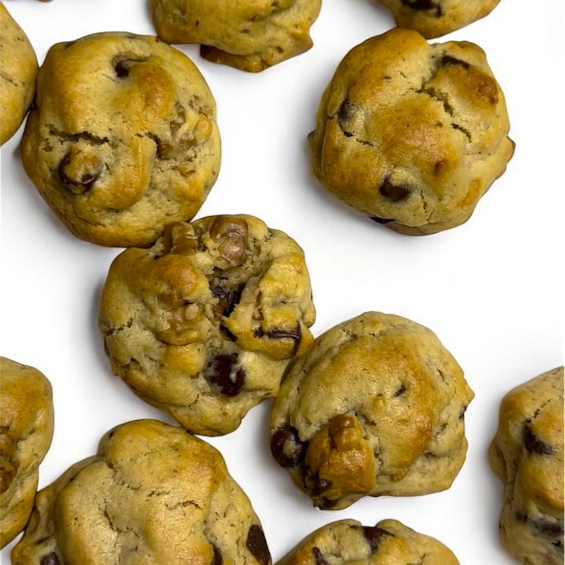 Variety & Flavor Pack Baked Bites